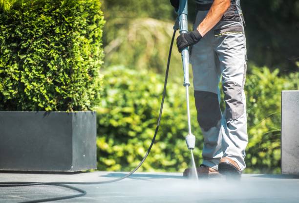 Trusted New Ellenton, SC Pressure Washing Services Experts